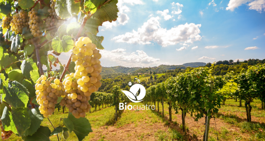 ¿Cómo usar Biosmart en el cultivo de Vid?