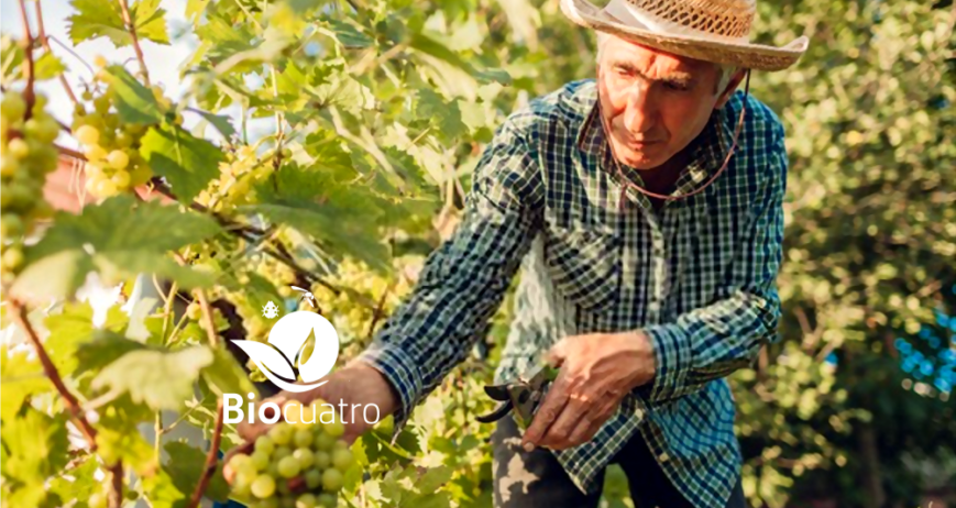 GrowSmart: ¿Como aplicar en Vid, Olivos y Frutales?