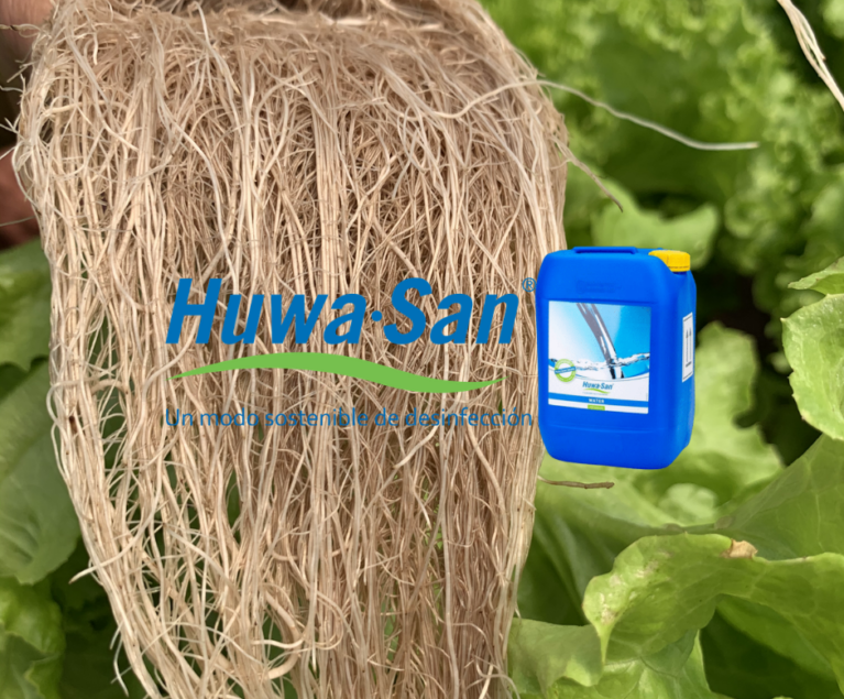 ¿Cuál es la diferencia entre Huwa San y un peróxido de hidrógeno común?