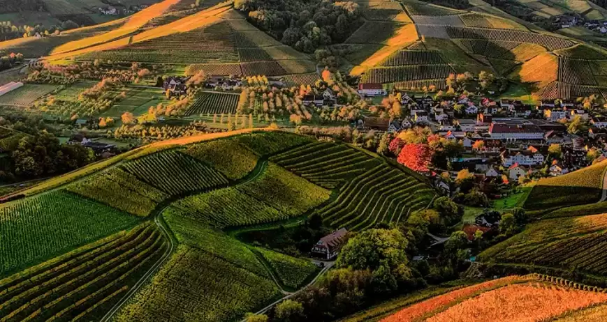 We grow fresh, organic produce using clean methods that protect nature, healthy food.