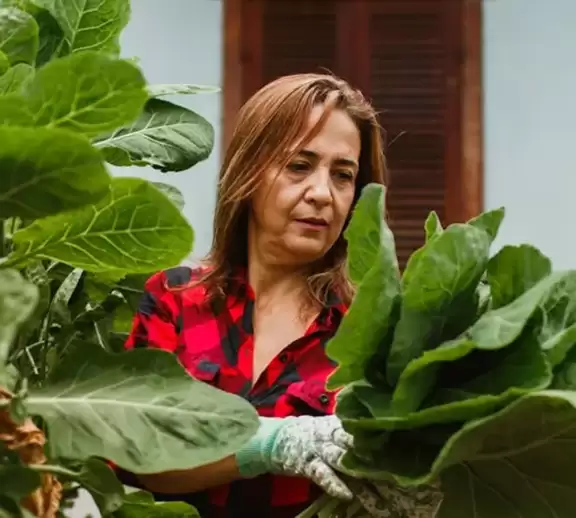 We grow fresh, organic produce using clean methods that protect nature, healthy food.