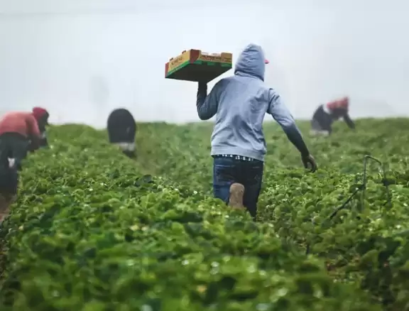 Priorizamos soluciones que aporten eficiencia, sanidad, respuesta agronómica y viabilidad de adopción.