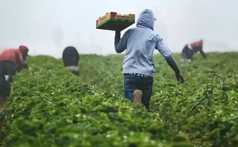 Priorizamos soluciones que aporten eficiencia, sanidad, respuesta agronómica y viabilidad de adopción.