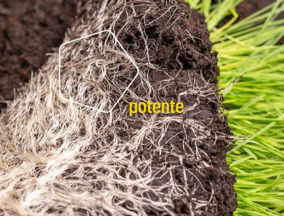 Apostamos por una agricultura que combine rendimiento, sostenibilidad del sistema y decisiones mejor fundamentadas.