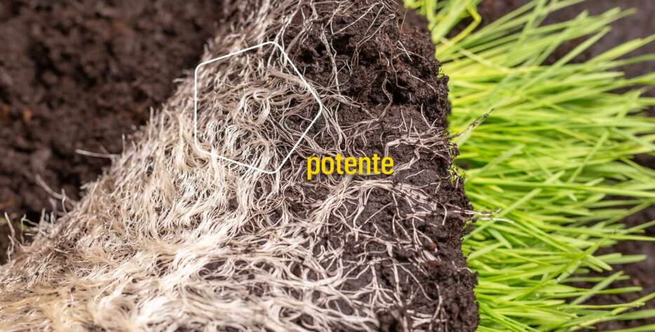 Apostamos por una agricultura que combine rendimiento, sostenibilidad del sistema y decisiones mejor fundamentadas.